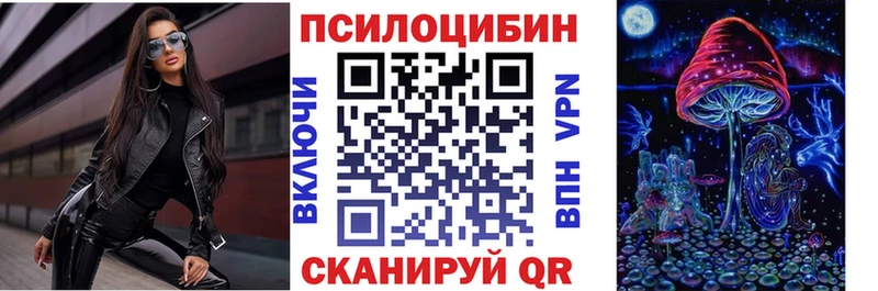 сколько стоит  Инсар  Псилоцибиновые грибы мицелий 