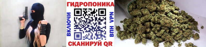 даркнет сайт  МЕГА ссылки  shop телеграм  Инсар  Бошки марихуана семена 